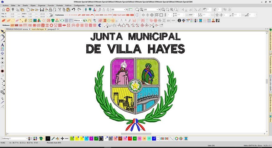 junta municipal